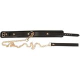 Halsfessel plus Leine aus Leder mit Gold-Details
