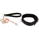 Bad Kitty Collar black