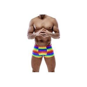 Svenjoyment Heren Boxer Briefs Rainbow XL Veelkleurig