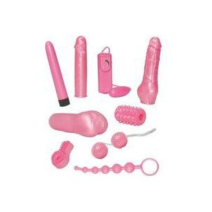 Roze Vibrator Set