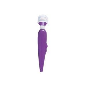 Women's Spa Mini Massager