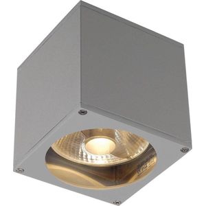 SLV  LED Wandlamp | 1X GU10 Max 75W  |  IP44 Dimbaar | BIG THEO