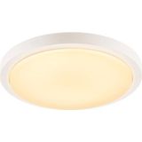 SLV 229961 LED-buitenlamp (plafond) LED 21 W Wit