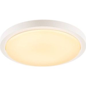 SLV 229961 Ainos LED-buitenlamp (plafond) LED 21 W Wit