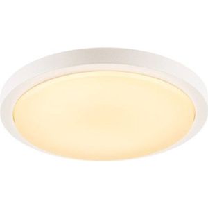 SLV 229961 Buitenplafondlamp LED 21 W Wit