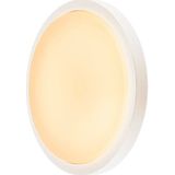 SLV 229971 LED-buitenlamp (plafond) LED 22 W Wit