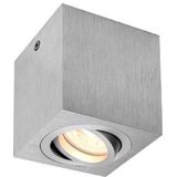 TRILEDO Single, Indoor Deckenaufbauleuchte, QPAR51, alu br., max 10W