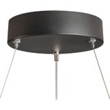 SLV pendelarmatuur ONE 60 DALI/woonkamerlamp, binnenverlichting, hangarmatuur, eetkamer, led, plafondarmatuur / 3000/4000K 25 W 1400/1500 lm zwart dimbaar