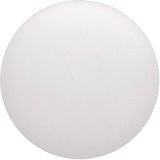 SLV - NUMINOS L - Diffusor Prisma - 1004795