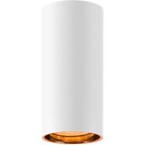 Witte plafondspot Asto Tube cilinder - 1x GU10 - 1006440
