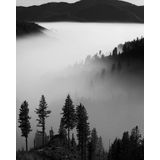 Rollei - Retro 80S - Film - 135-36 - PET-basis