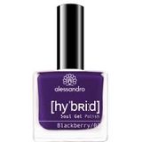 Alessandro - Hybrid Soul - Nagellak - Blackberry - 8 ml
