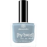 Nagellak - Winter Magic - Glinsterende Lakkleuren - 5 Stuks