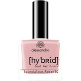 Nagellak - Winter Magic - Glinsterende Kleuren - 5 Stuks