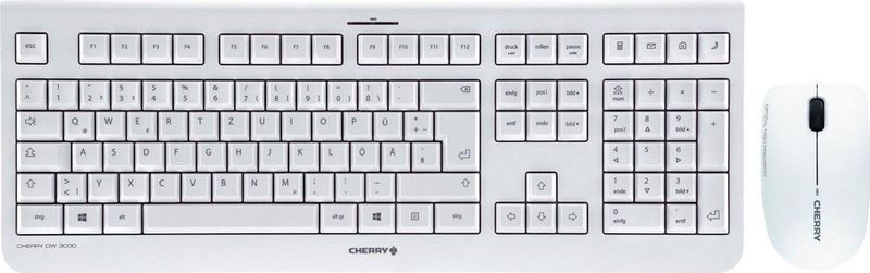 CHERRY DW 3000 toetsenbord RF Draadloos QWERTZ Duits Grijs