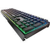 CHERRY MX BOARD toetsenbord USB QWERTZ Duits Zwart