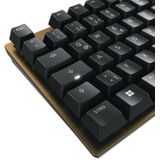 CHERRY KC 200 MX toetsenbord Universeel USB QWERTZ Duits Zwart, Brons
