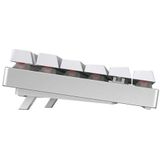 CHERRY MX 8.2 TKL Wireless RGB toetsenbord Gamen USB + RF Wireless + Bluetooth QWERTZ Duits Wit