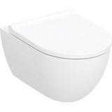 Wandcloset geberit renova pack | rimfree | keratect wit