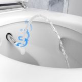 Geberit Aquaclean Douche Wc 146.290.Si.1