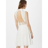 Vera Mont - Cocktailjurk - Wit - Elegant Kantinzet - 2XL