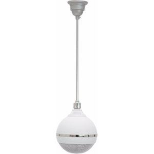 Omnitronic 061086 WPC-5W Haut-parleur de plafond Blanc