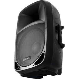 OMNITRONIC VFM-212 2-Way Speaker