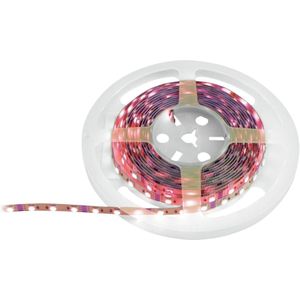 EUROLITE LED Strip 300 5m 5050 RGB 12V | Flexibele LED Strip met RGB LEDs
