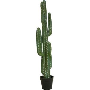 EUROPALMS Mexikanischer Kaktus, Kunstpflanze, gr&#252;n, 123cm
