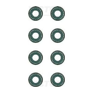 REINZ - Klepsealset - FPM - Groen - Voor VW, AUDI, OPEL