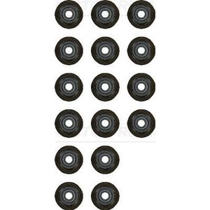 Pakkingset, klepsteel REINZ 12-53499-01
