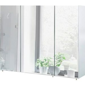 Schildmeyer Basic spiegelkast, houtmateriaal, glas, metaal, wit, 100 cm