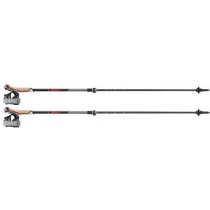 Nordic Walking stok Leki Instructor Lite Dark-Anthracite/Silver-Gray/Bright-Red - 100 / 125 cm