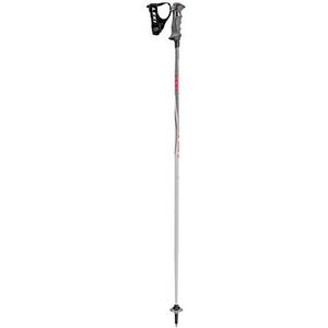 LEKI Unisex Adult Sports Skistok