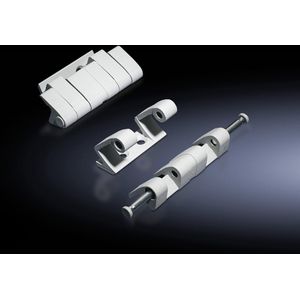 Rittal TS8 8800.190 Scharnier Zinkspuitgietwerk Grijs-wit (RAL 7035) 4 stuk(s)