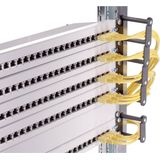 Rittal - 7111.214 - Kabelgeleiding - Zwart - 10 HE met 10 x 1 HE Enkele Geleiders