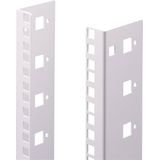 Rittal 7507.712 19 inch Rails voor patchkast 12 HE Grijs