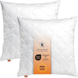 Basic 100 Hoofdkussen, sierkussen, Ökotex standaard, wasbaar tot 60 graden, Made in EU, 2 stuks 50 x 50 cm, wit
