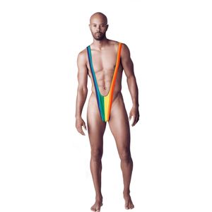 Mankini onderbroek - Gay Pride/regenboog thema kleuren - polyester - in kadoverpakking - Verkleedattributen