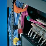 HellermannTyton Klittenband kabelbinder Om te bundelen Haak- en lusdeel (l x b) 200 mm x 12.5 mm Rood 10 stuk(s)