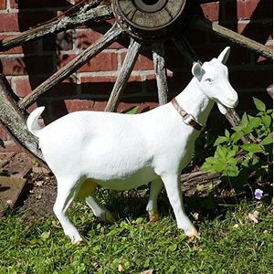 colourliving Geit figuur groot | tuinfiguur geit Mecki wit | handbeschilderd geitenfiguur XL voor tuin of in huis
