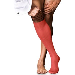 FALKE - No. 10 - Kniekousen - Oranje