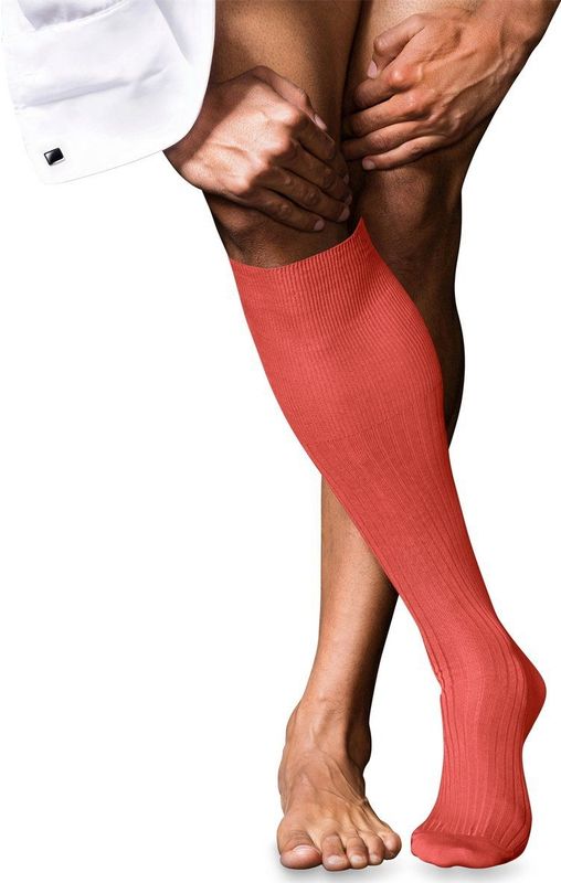 FALKE - No. 10 - Kniekousen - Oranje