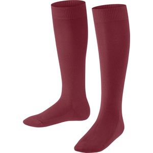 FALKE - Family - Kniekousen - Rood