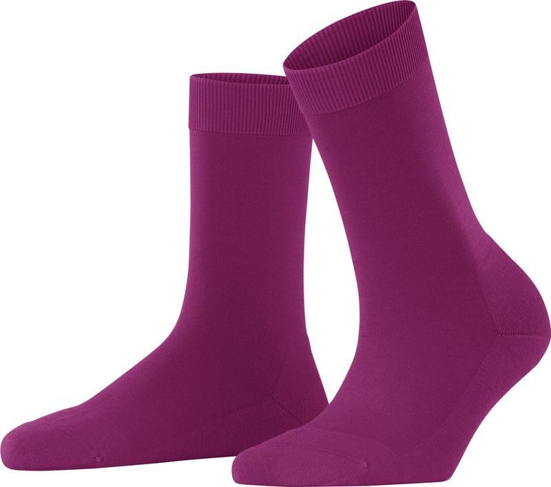 Sokken Falke Women ClimaWool SO Berry