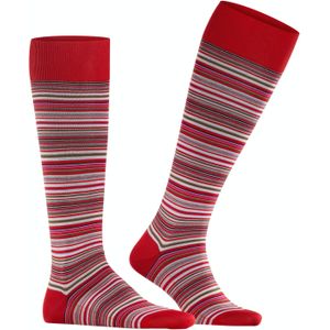 FALKE Microblock - Kniekousen - Groen -  Versterkte Hiel en Neus