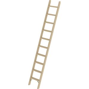 MUNK Houten aanlegladder, met treden, 10 treden