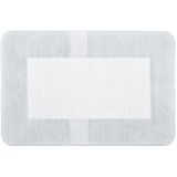 Eilandpleisters - 10 x 20 cm - 10 Stuks - Steriel Verpakt