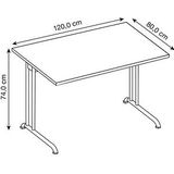 HAMMERBACHER Altus Schreibtisch buche rechteckig, C-Fuß-Gestell silber 120,0 x 80,0 cm