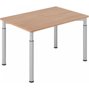 YAMA 12 S | Bureau - 120x80 Walnoot/Zilver Tafelhoogte I In hoogte verstelbaar